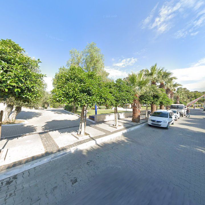 Fotoğraf 11