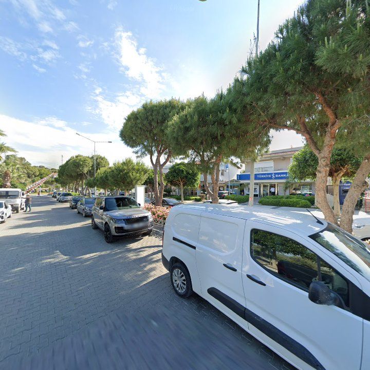 Fotoğraf 12