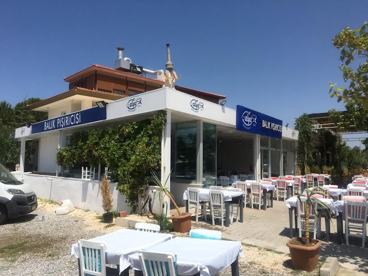 Alya Balık Pişiricisi