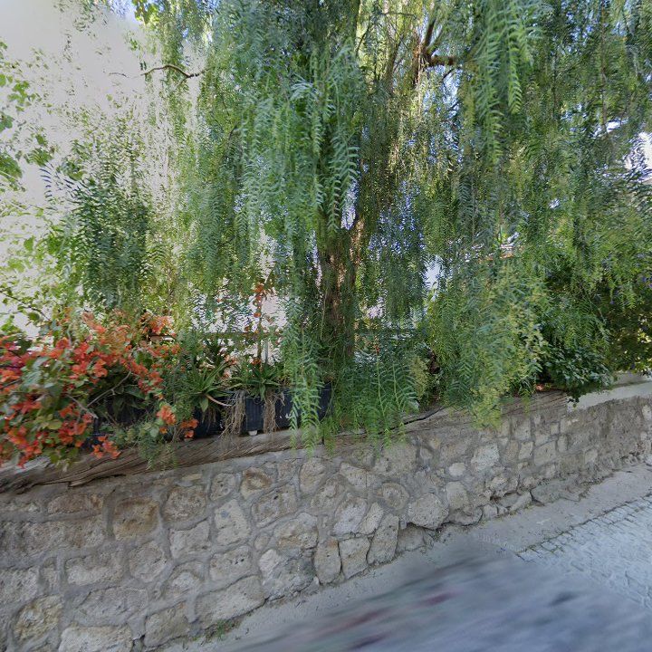 Fotoğraf 9