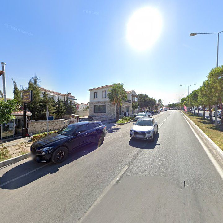 Fotoğraf 15