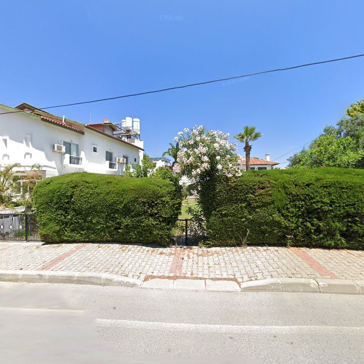 Fotoğraf 10