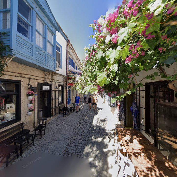Fotoğraf 8