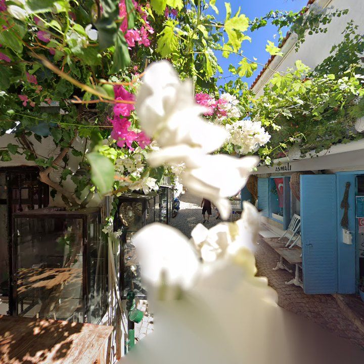 Fotoğraf 9