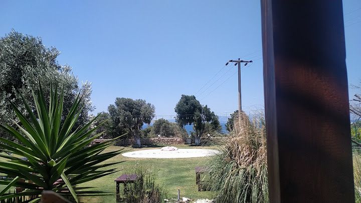 Yorum fotoğrafı 4