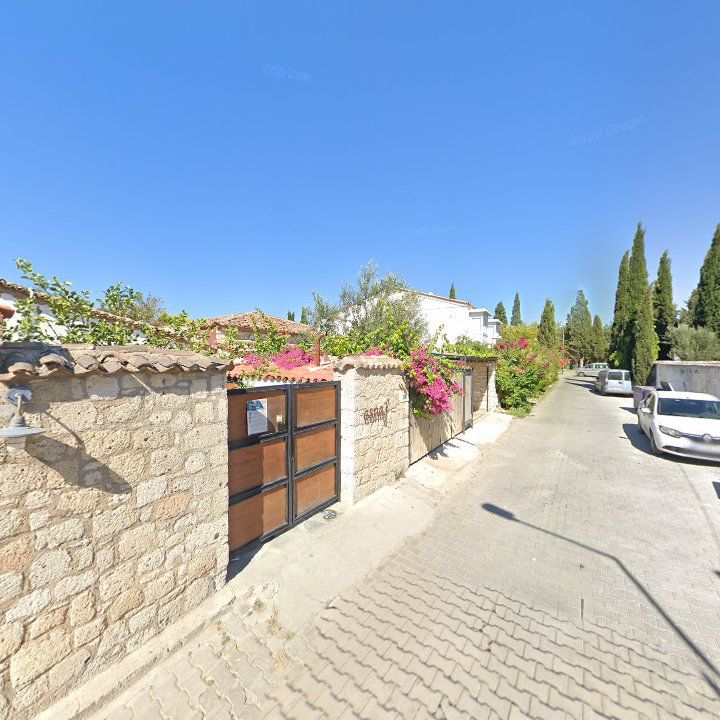Fotoğraf 7