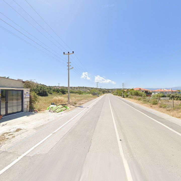 Fotoğraf 7