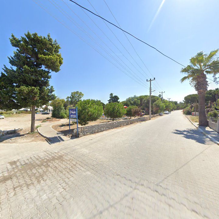 Fotoğraf 3