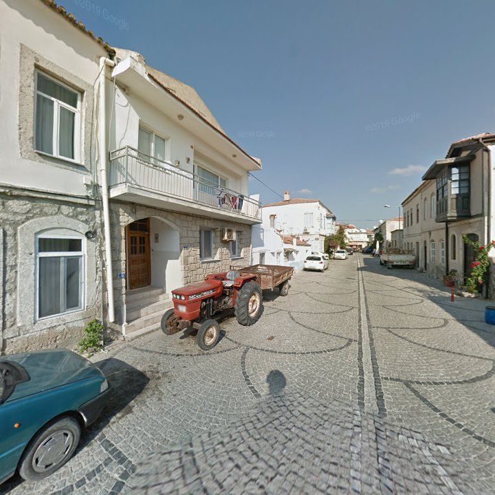 Fotoğraf 12