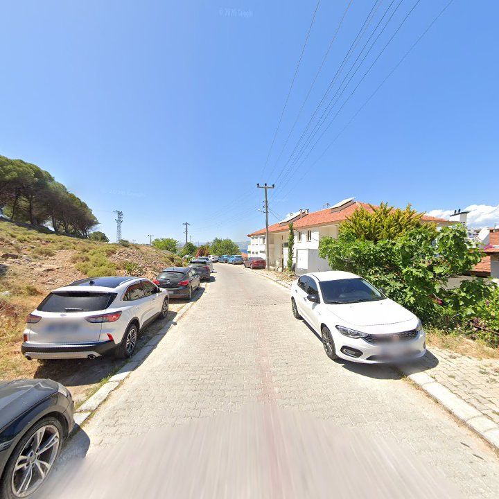 Fotoğraf 7