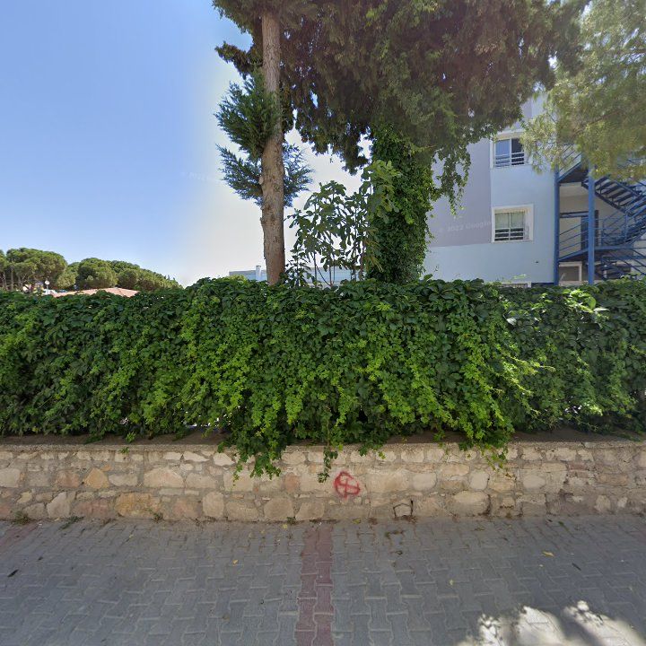 Fotoğraf 11