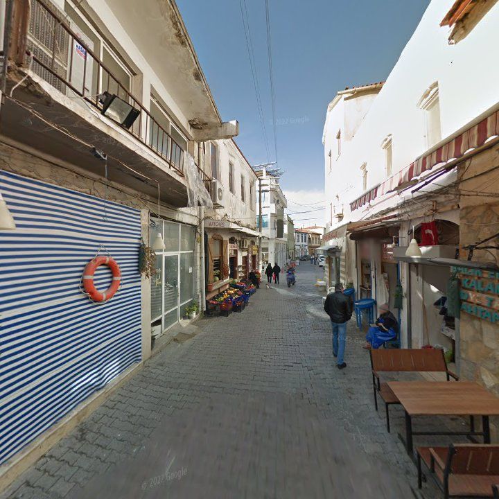 Fotoğraf 14