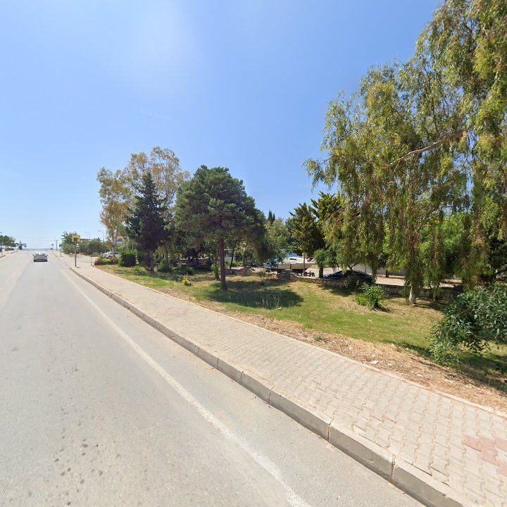 Fotoğraf 3