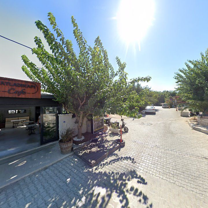 Fotoğraf 8
