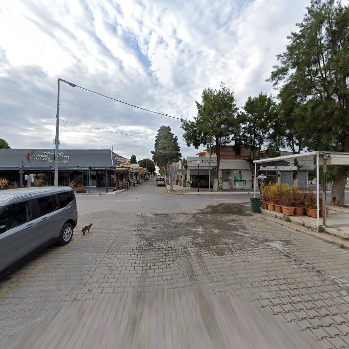 Fotoğraf 12