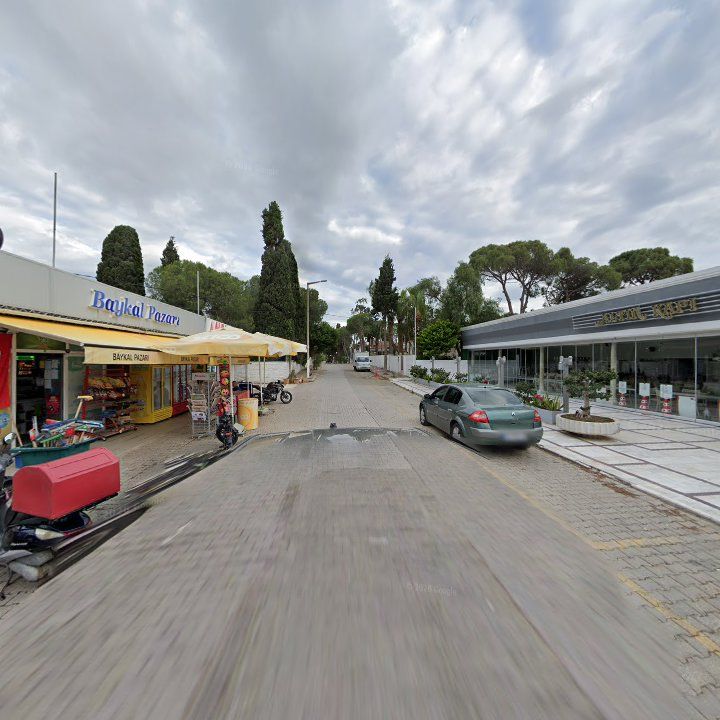 Fotoğraf 10