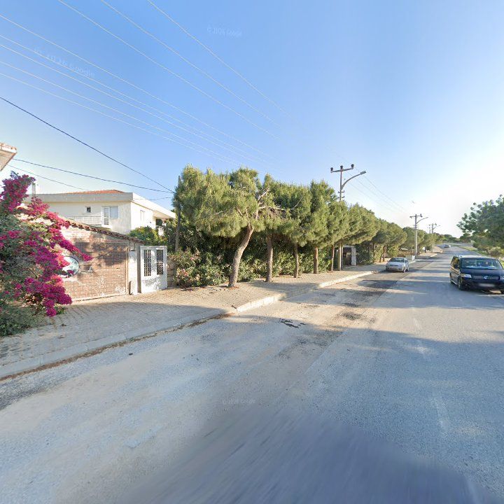 Fotoğraf 7