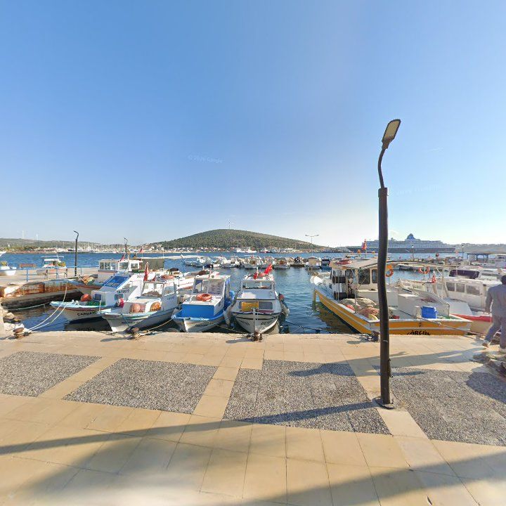 Fotoğraf 7
