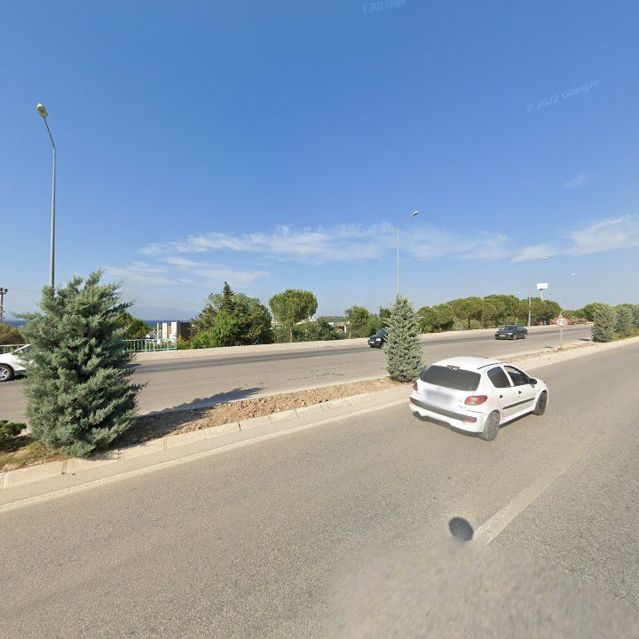 Fotoğraf 10