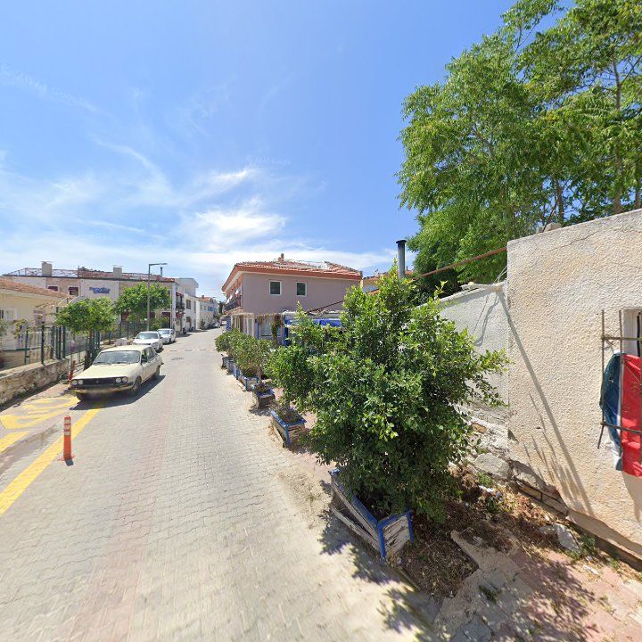 Fotoğraf 12