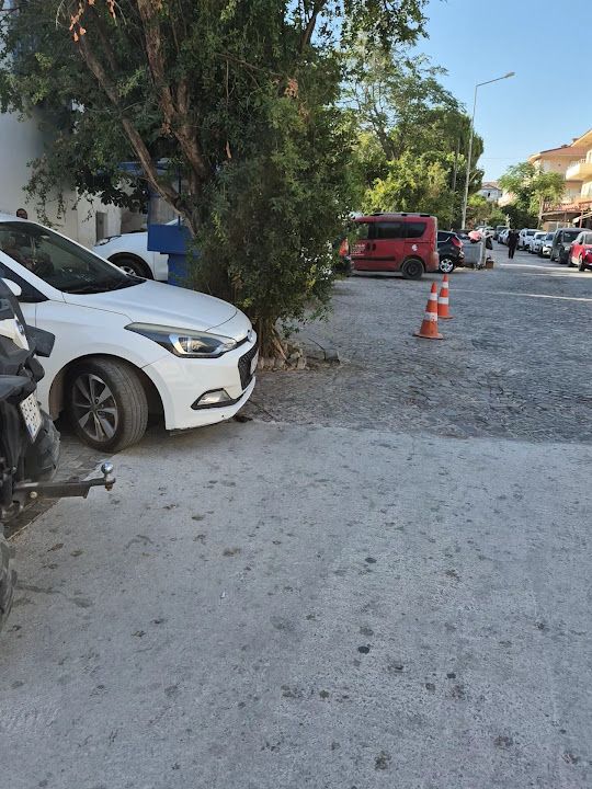 Fotoğraf 3