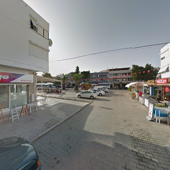 Fotoğraf 9