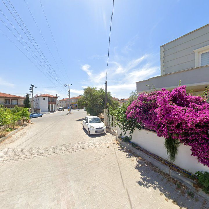 Fotoğraf 7
