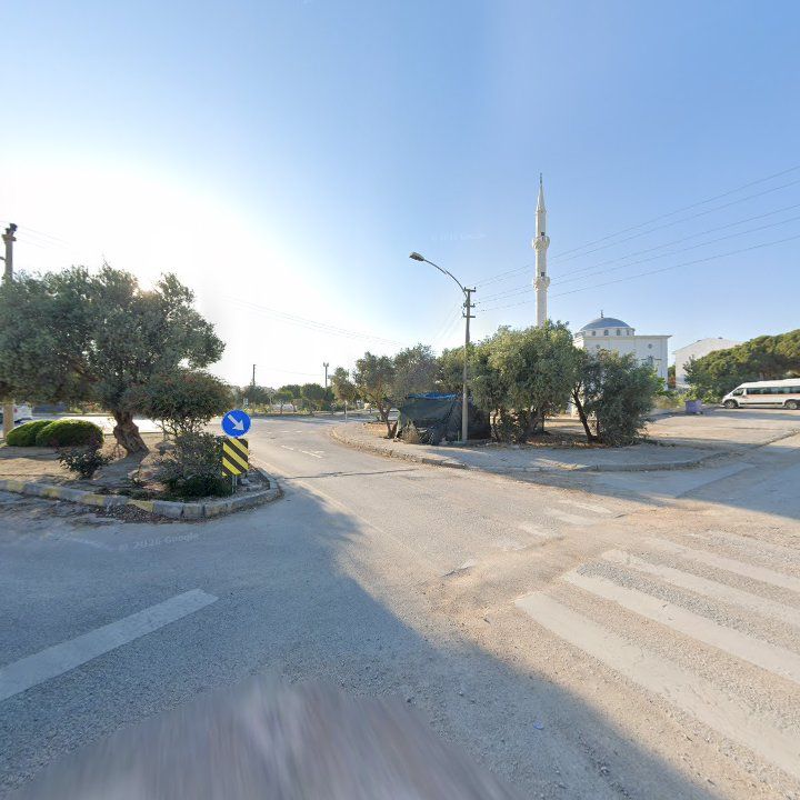 Fotoğraf 10