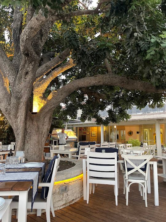 Deniz'in Mutfağı Balık Restoran