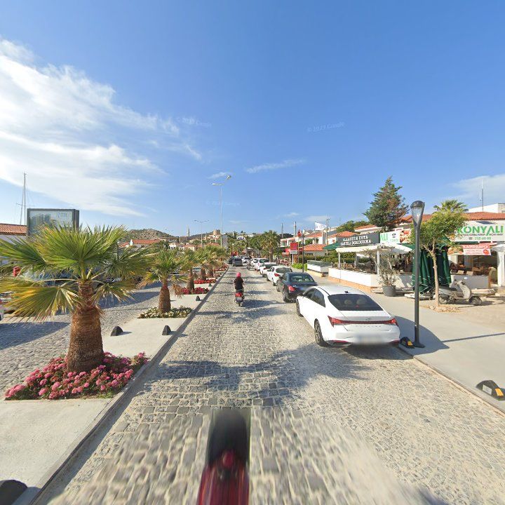Fotoğraf 10