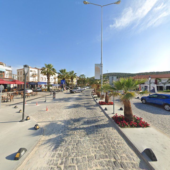 Fotoğraf 8