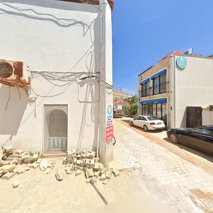 Fotoğraf 7