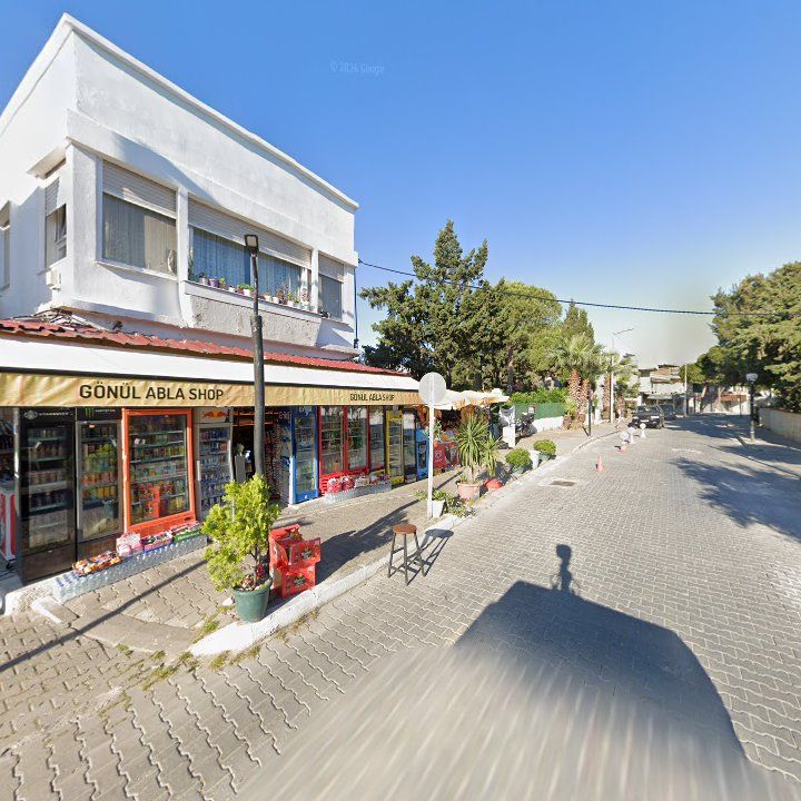 Fotoğraf 14