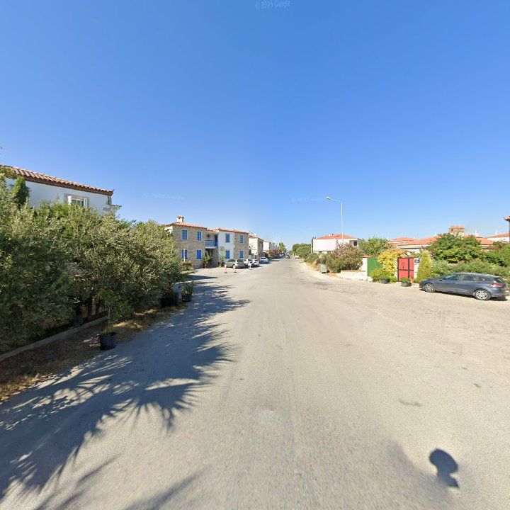Fotoğraf 9