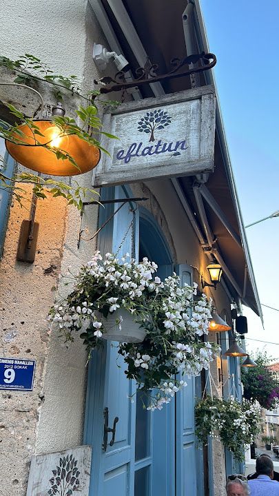 Eflatun alaçatı