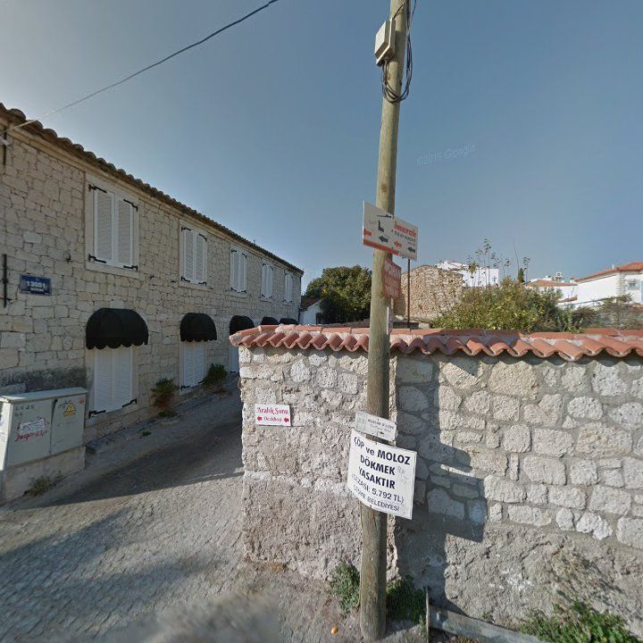 Fotoğraf 12