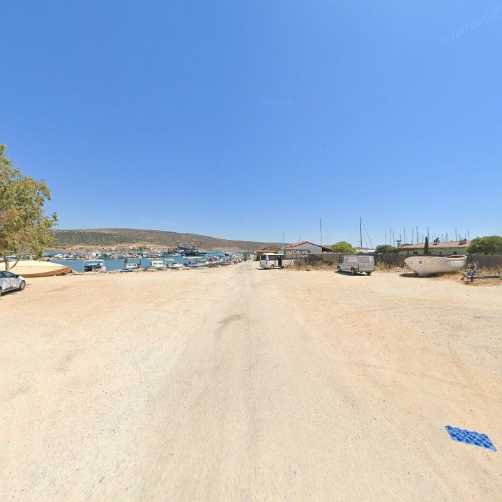 Fotoğraf 12