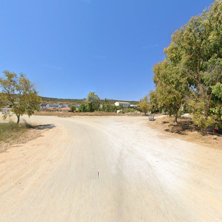 Fotoğraf 14