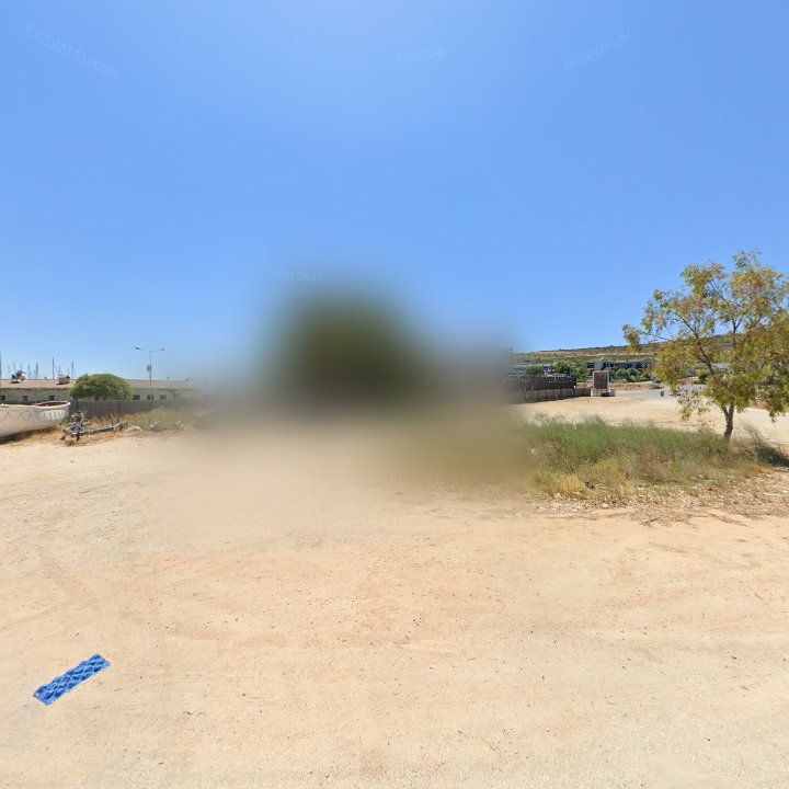 Fotoğraf 13