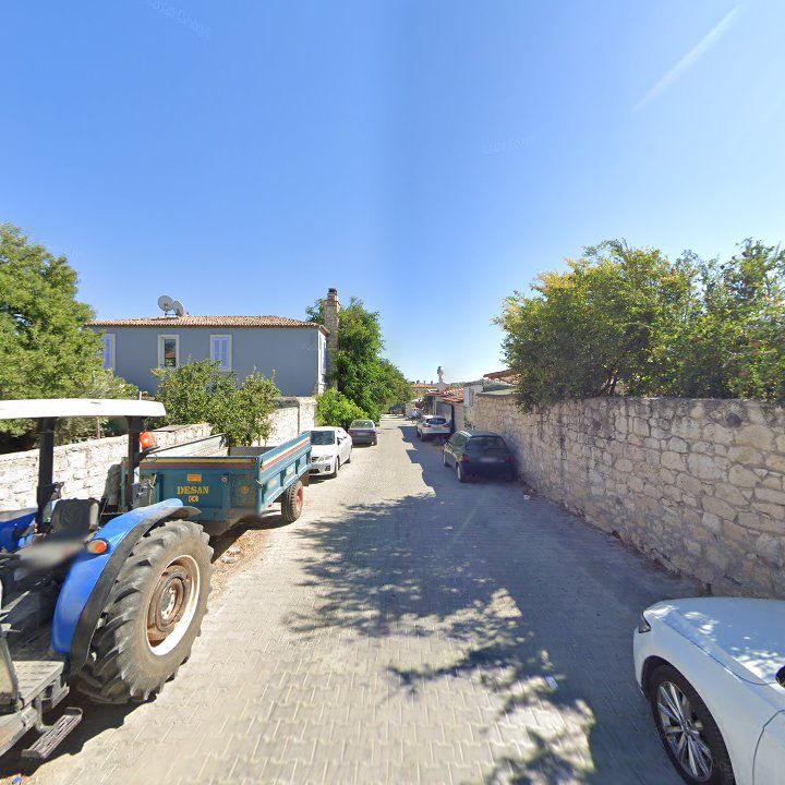 Fotoğraf 10