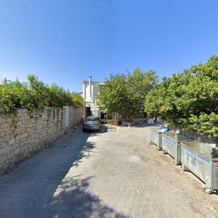 Fotoğraf 8