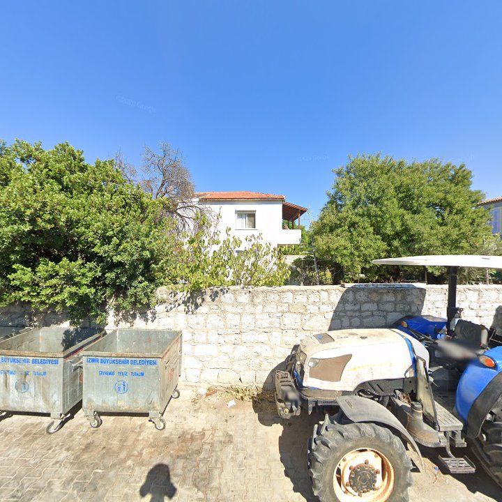 Fotoğraf 9