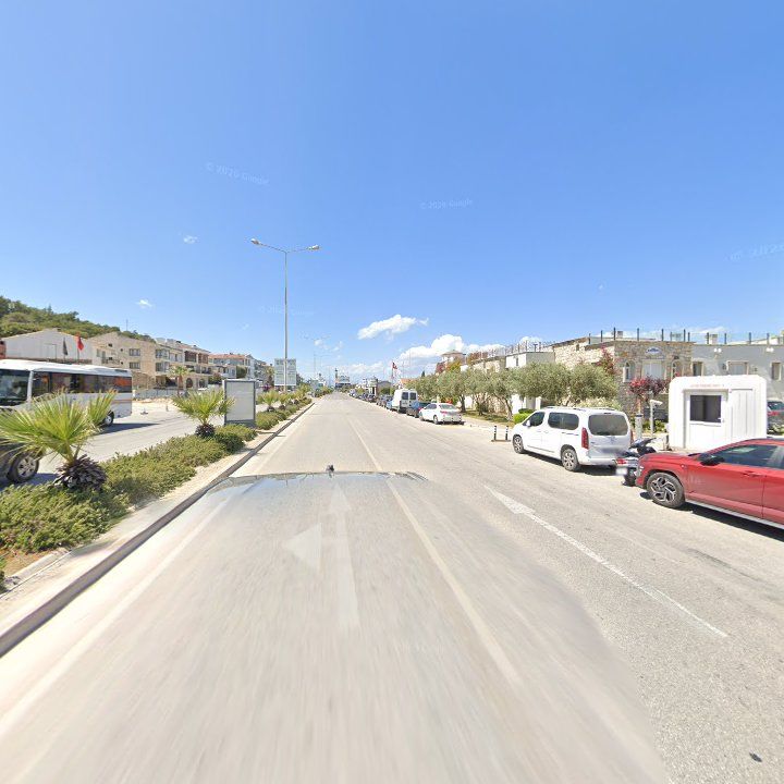 Fotoğraf 12