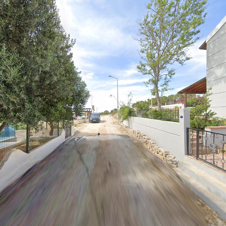 Fotoğraf 9