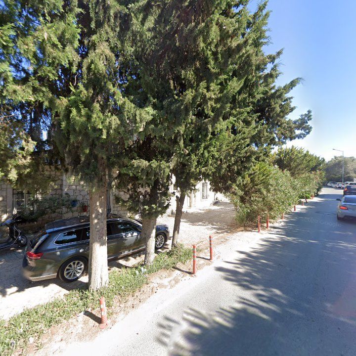 Fotoğraf 10