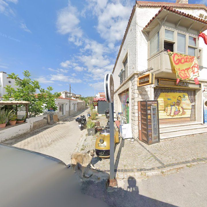 Fotoğraf 5