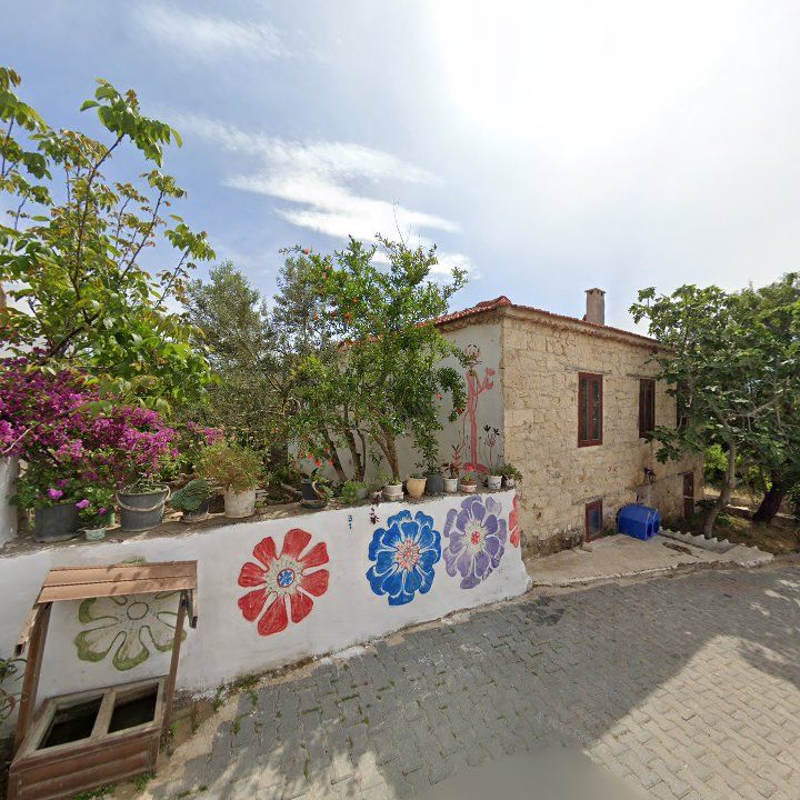 Fotoğraf 8
