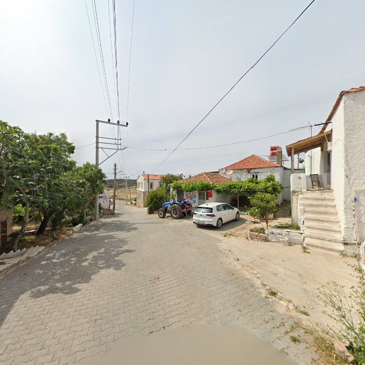 Fotoğraf 9