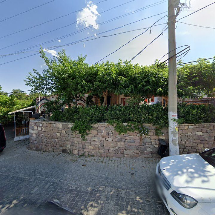 Fotoğraf 7