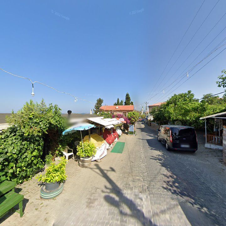 Fotoğraf 10